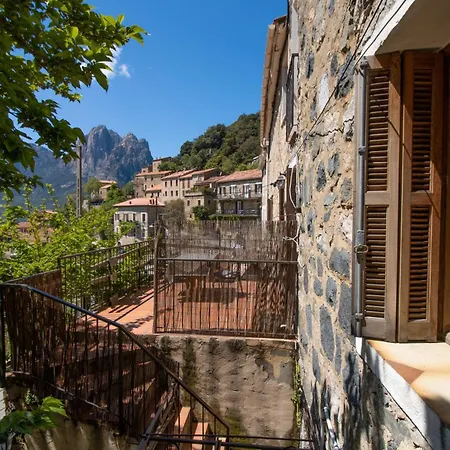 Chez Marla Lägenhet